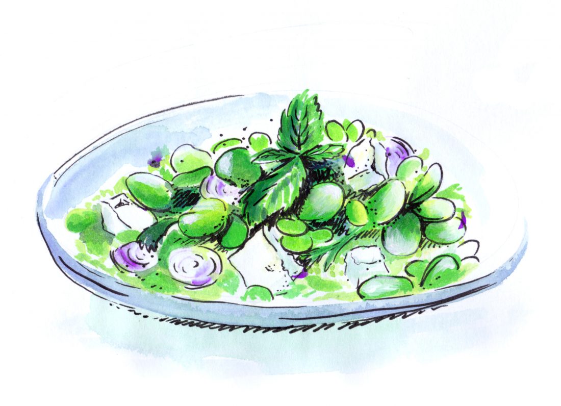illustration de salade de fèves réalisée par Paludana
